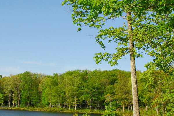 Sawmill Lake Campground