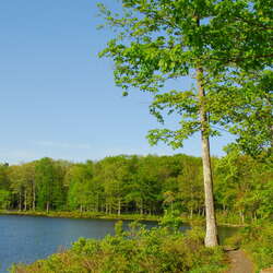 Sawmill Lake Campground at High Point
