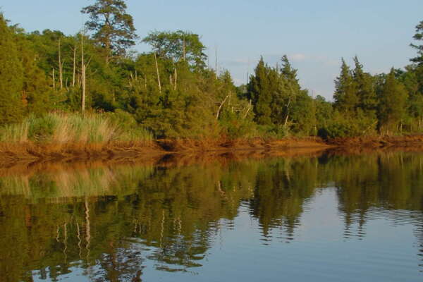 Manasquan River Wildlife Management Area