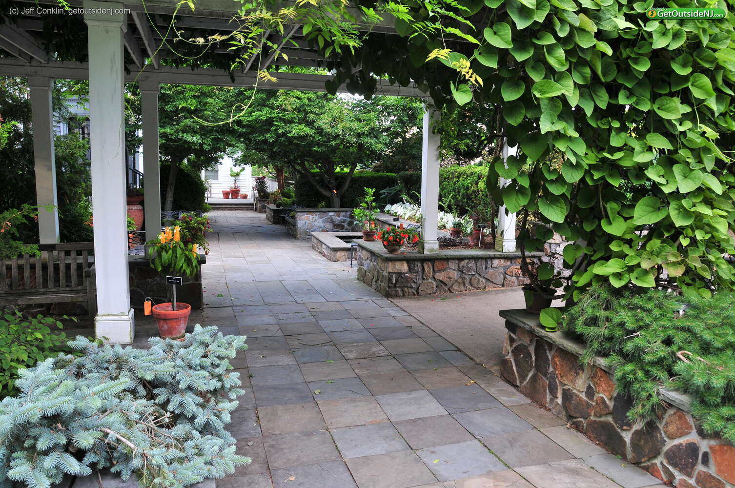 Friends of the Frelinghuysen Arboretum Get Outside, New Jersey! (v5.1.0)