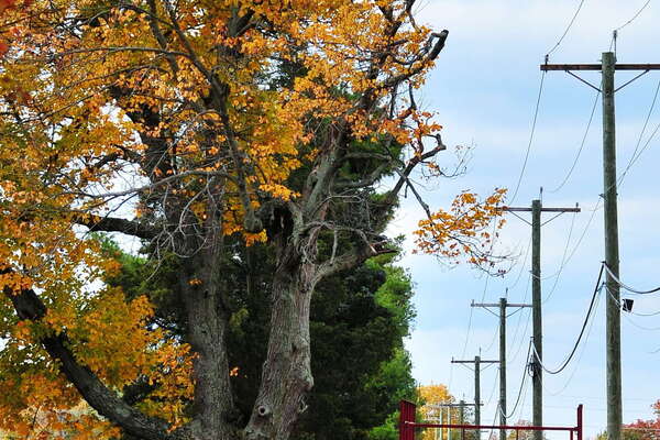 Snyders Farm Fall Festival - 2015