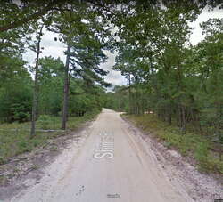 Brendan T. Byrne State Forest