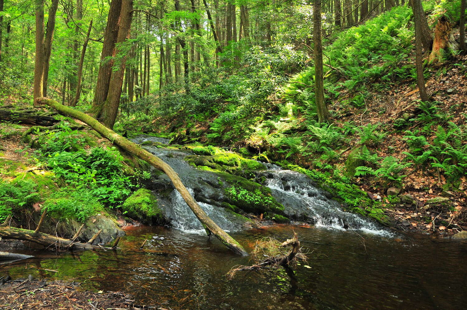 Tillman Ravine | Tillman Rd, Branchville, New Jersey 07826 | Get