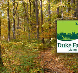 February 2015 Locations, Groups, Galleries, Updates