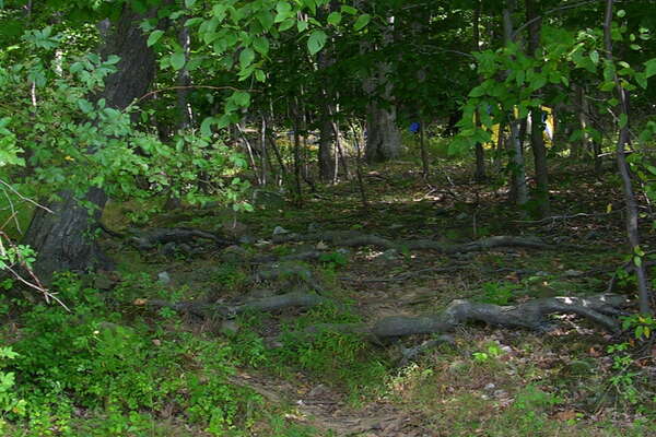 The path from the shore to our site (56)