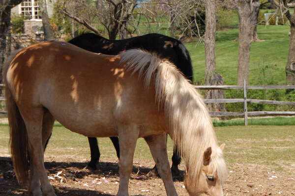 Lord Stirling Stables