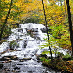 Hornbecks Creek / Indian Ladder Falls
