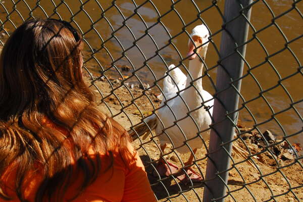 Animal Haven in Thompson Park