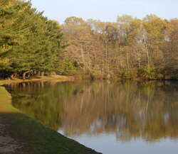 Featured Park: Shark River Park