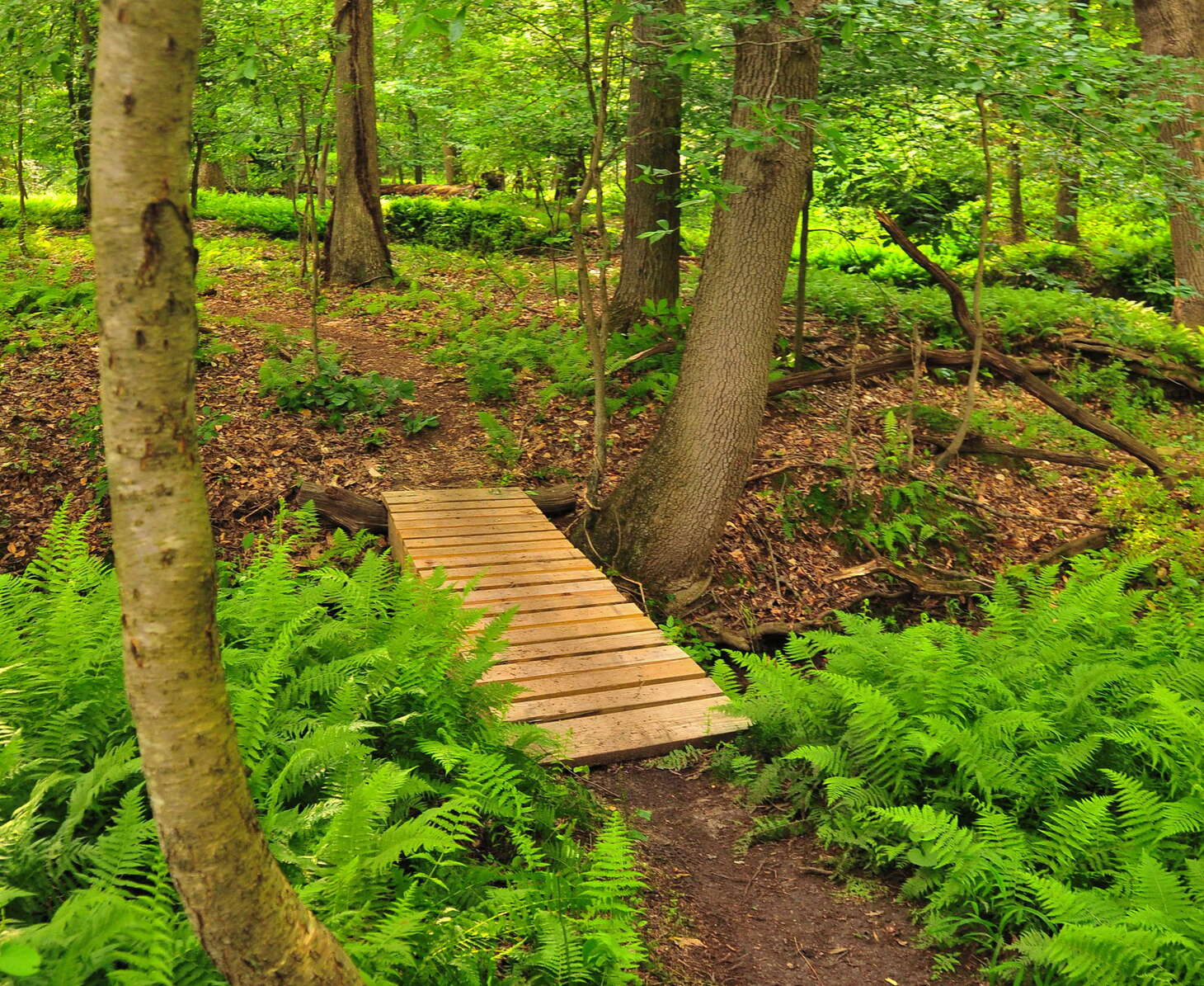 Core Creek Park Langhorne Pa 19047 Bucks County