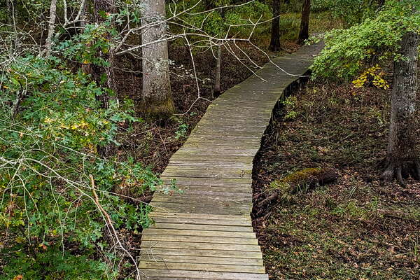 Fall HIking in Lord Sitrling Park