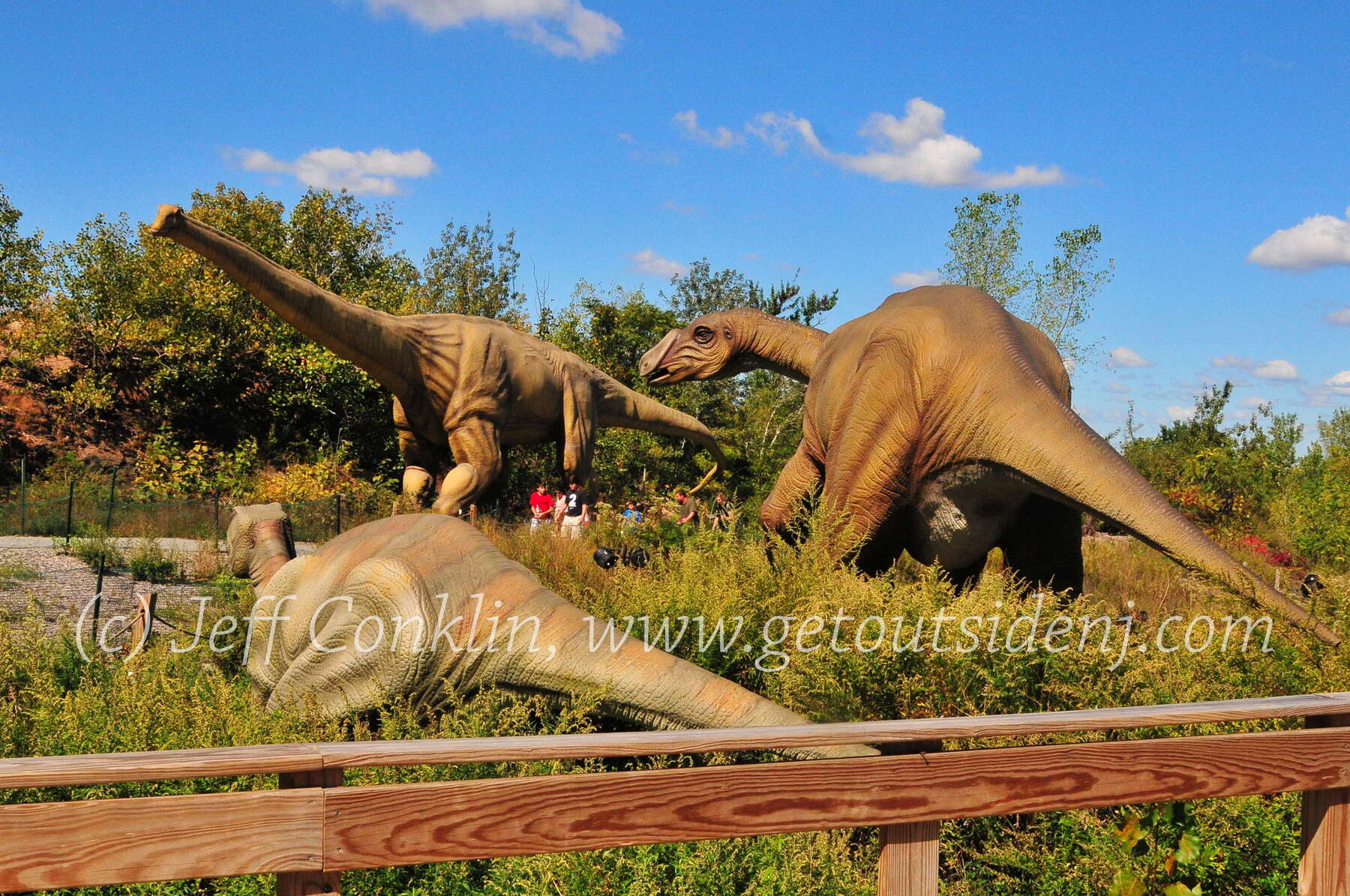 dinosaur museum leonia nj