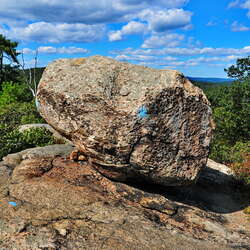 Norvin Green State Forest