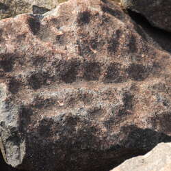 Photos Of: Ringing Rocks County Park (PA) - 2007 - 04/16/2014