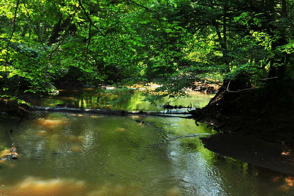 The Manasquan River (near group camping)