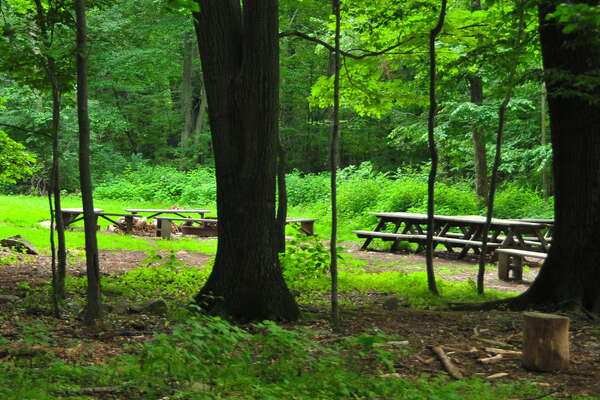 Lots of room for group camping