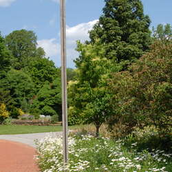 Photos Of: Deep Cut Gardens - Around the park (2008) - 08/10/2013