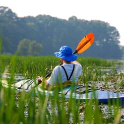 Assunpink Wildlife Management Area
