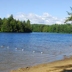 Photos Of: DAR State Forest - 07/09/2013