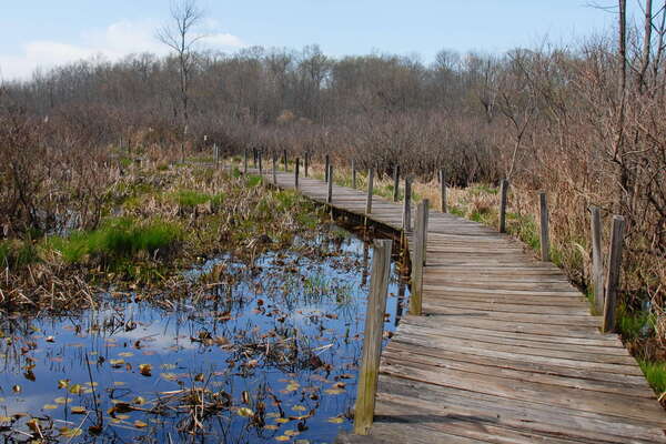 Trails in Lord Stirling Park