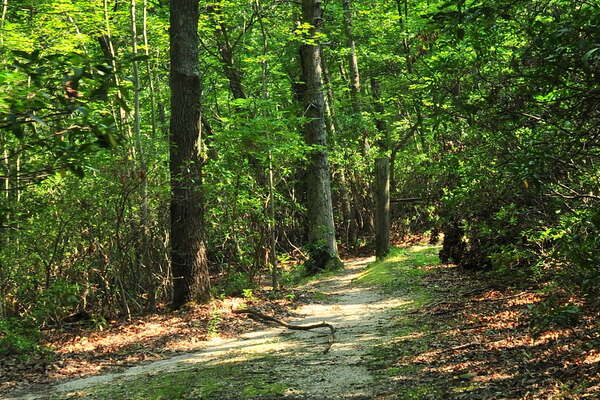 Trails around the group campground