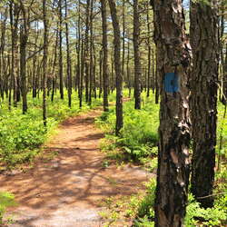 Jakes Branch County Park