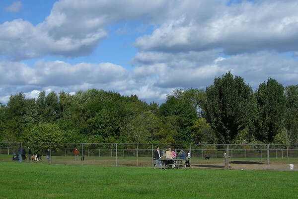 Thompson Park Off-leash Dog Area