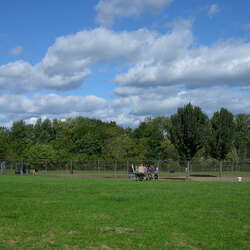 Thompson Park Off-leash Dog Area (Monmouth County)