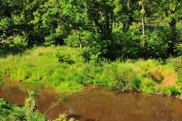 Scenic ride on the Black River and Western Railroad
