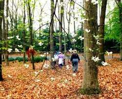 Barton Arboretum and Nature Preserve