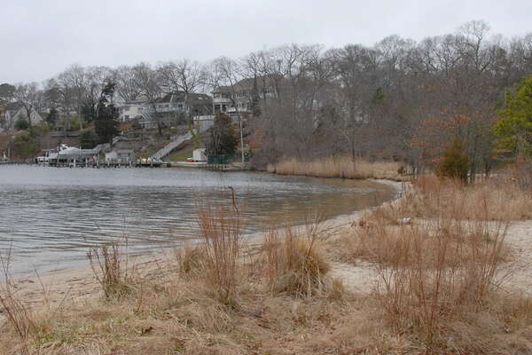 Browns Woods Preserve