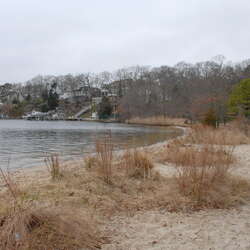 Photos of: Brown Recreation Area, Toms River - 03/16/2012
