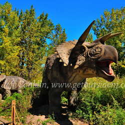 Photos Of: Field Station: Dinosaurs - 06/13/2014