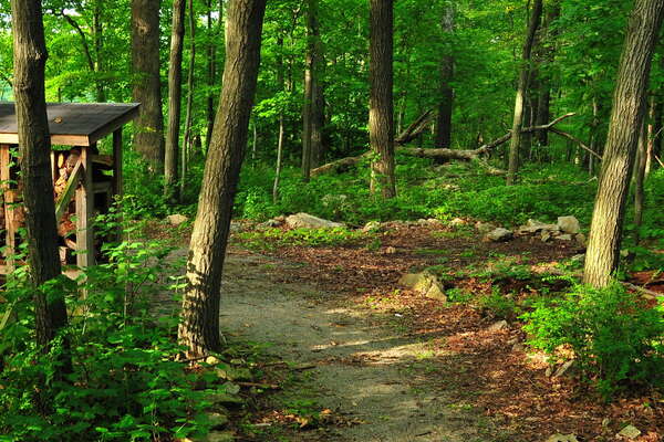 Teetertown Camping Area