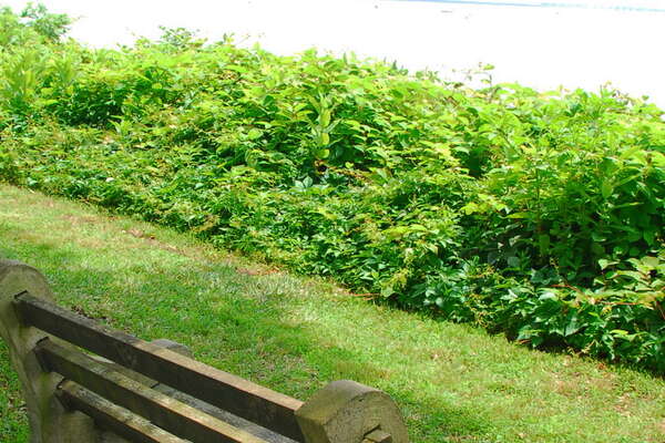 John F. Kennedy Park