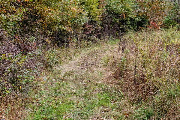 Fall HIking in Lord Sitrling Park