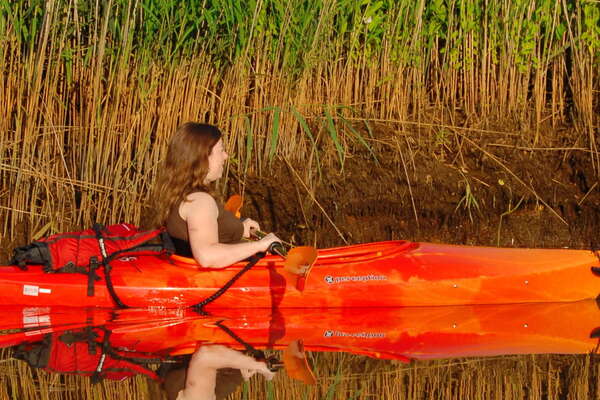 Manasquan River Wildlife Management Area