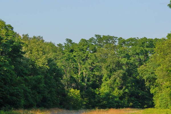 Manasquan River Wildlife Management Area
