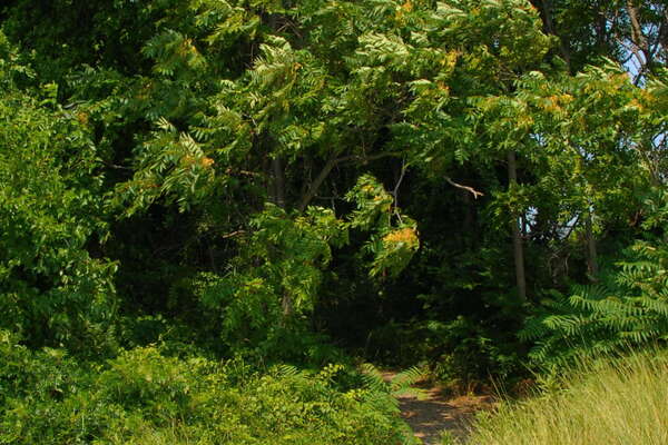 Fishermans Cove, Manasquan