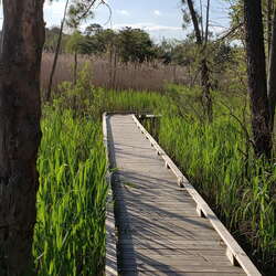 Places to walk near Brick, NJ