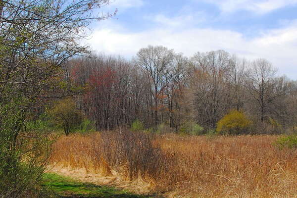 Trails in Lord Stirling Park