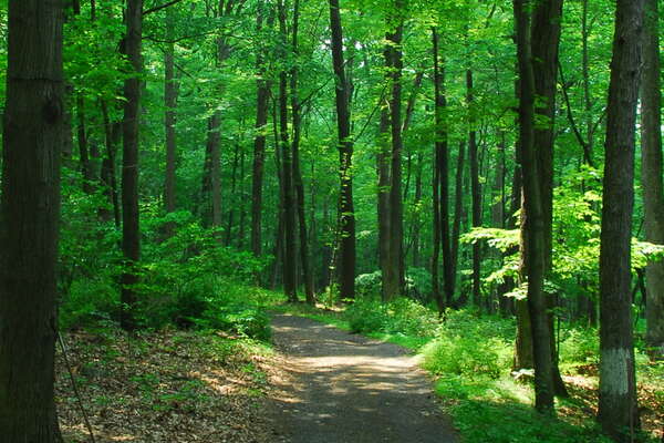 The main path/road between the campsites