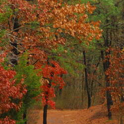 Photos of: Winding River Park (fall 2009) - 04/08/2012