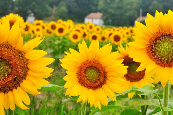 Why do you keep looking at me?