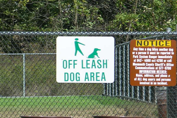 Thompson Park Dog Park Monmouth County