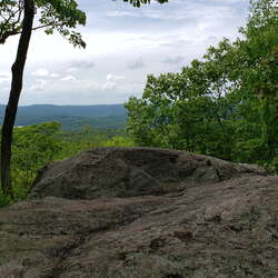 Ramapo Mountain State Forest