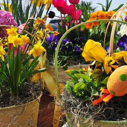 Photos Of: Oasis Family Farm - Plants Landscape (Easter 2014) - 04/19/2014