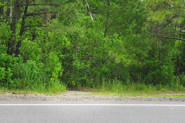 Path tough to find.. across from park sign