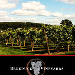 Beneduce Vineyards (Vineyard and Winery)