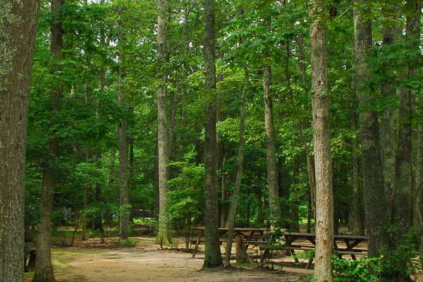 090626-130-birch-grove-campground.jpg